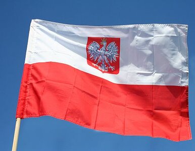 Miniatura: Mamy za mało polskich flag? Tak twierdzi PiS