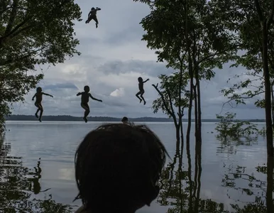 Miniatura: World Press Photo 2016. Te zdjęcia...