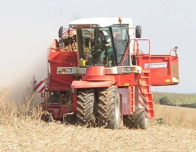 Miniatura: Tragedia pod Garwolinem. Kombajn wciągnął...
