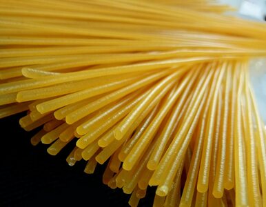 Miniatura: Student zmarł po zjedzeniu spaghetti. Było...