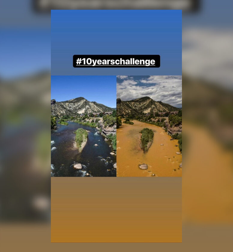 Odpowiedź ekologów na „10 years challenge” 
