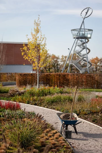Naturalistyczny ogród Pieta Oudolfa na Vitra Campus w Weil am Rhein – przykład harmonii między dzikością a precyzyjnym projektowaniem 
