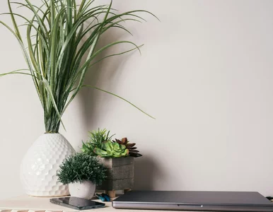 Miniatura: Quiz ortograficzny ze szkolnej ławki....