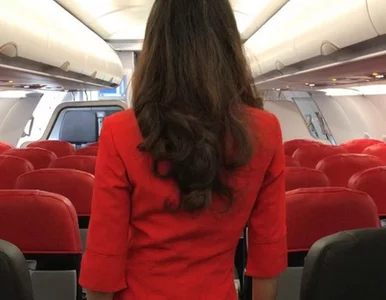 Miniatura: Parlament zajmuje się strojami stewardess....