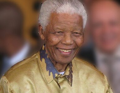 Miniatura: Nelson Mandela trafił na banknoty z lwem,...