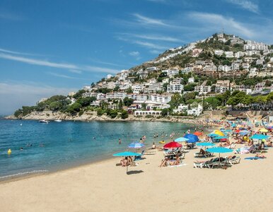 Miniatura: Basen na dachu i słońce. Last minute w...