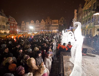 Miniatura: Poznań: zobacz lodowe arcydzieła