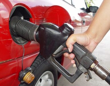 Miniatura: Tanieje benzyna i olej napędowy