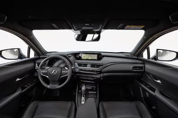 Lexus UX 300e 