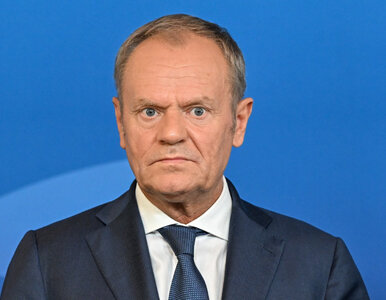 Miniatura: Donald Tusk może świętować międzynarodowy...