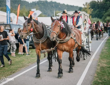 Miniatura: Piątek na Festiwalu Biegowym oraz...