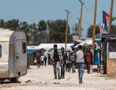 Miniatura: Migranci atakują kierowców w Calais....