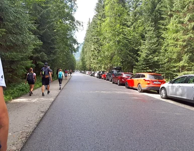 Miniatura: Parking w Tatrach zupełnie za darmo? Jest...