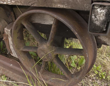 Miniatura: "Jeśli złoty pociąg zostanie odnaleziony,...