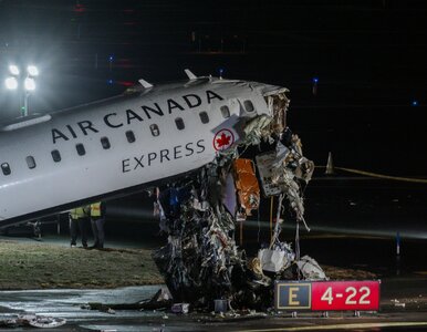 Miniatura: Świadkowie o zderzeniu na lotnisku w USA....