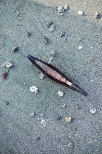 Lampa w kształcie wieloryba Yoshiki Matsuyama v2com, Yoshiki Matsuyama