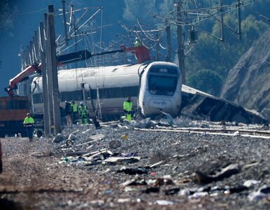 Miniatura: Sześciolatka przeżyła katastrofę na kolei....