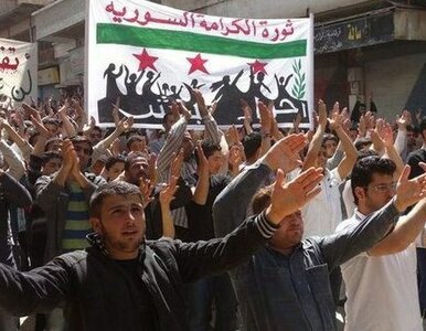 Miniatura: "Syryjskie władze próbują zdławić...