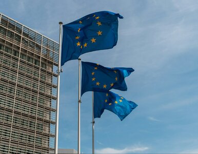 Miniatura: Quiz dla znających mapę Europy. Dopasuj...