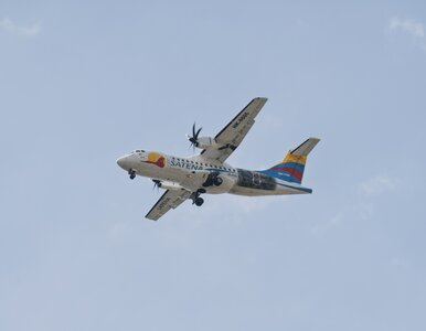 Miniatura: Znaleziono zaginiony wrak. Nikt nie...