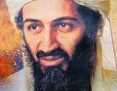 Miniatura: Amerykanie przesłuchują wdowy po bin Ladenie
