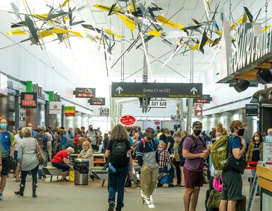 Miniatura: To idealne wieści dla turystów. Lotniska w...