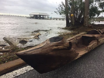 Czółno znalezione na brzegu Indian River 