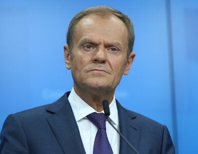 Miniatura: Donald Tusk wystartuje w wyborach...