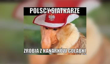 Mem po meczu Polska-Brazylia 