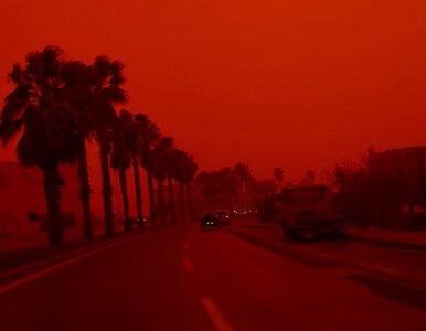 Miniatura: Niebo nagle zrobiło się czerwone....