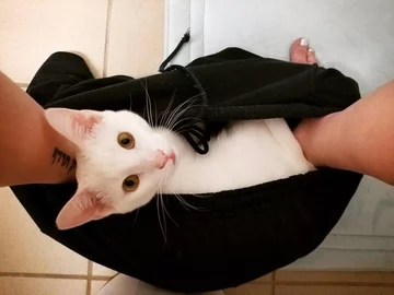 Ładnie tak podglądać? 