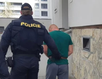 Miniatura: Brutalne zachowanie Ukraińca w Czechach....