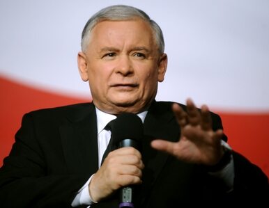 Miniatura: Wołek: Kaczyński byłby prezydentem...