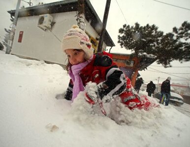 Miniatura: Minus 37 stopni w Czechach. Liczba ofiar...