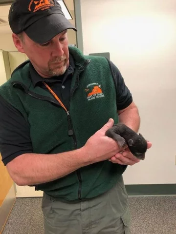 Uratowany niedźwiadek 