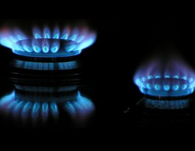 Miniatura: Prezes URE zatwierdził obniżki cen gazu