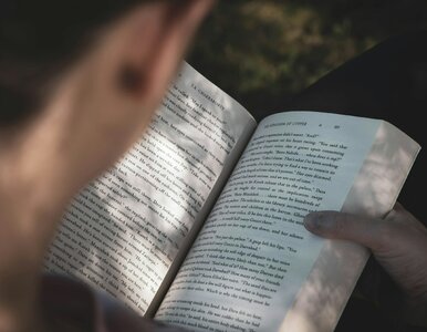 Miniatura: Rozpoznasz tytuł książki po bohaterze?...