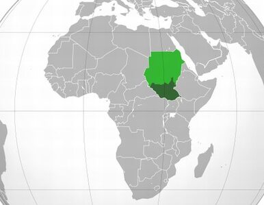 Miniatura: Republika Południowego Sudanu - nowe...