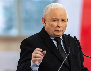 Miniatura: Kaczyński poprosi Mentzena o poparcie w...
