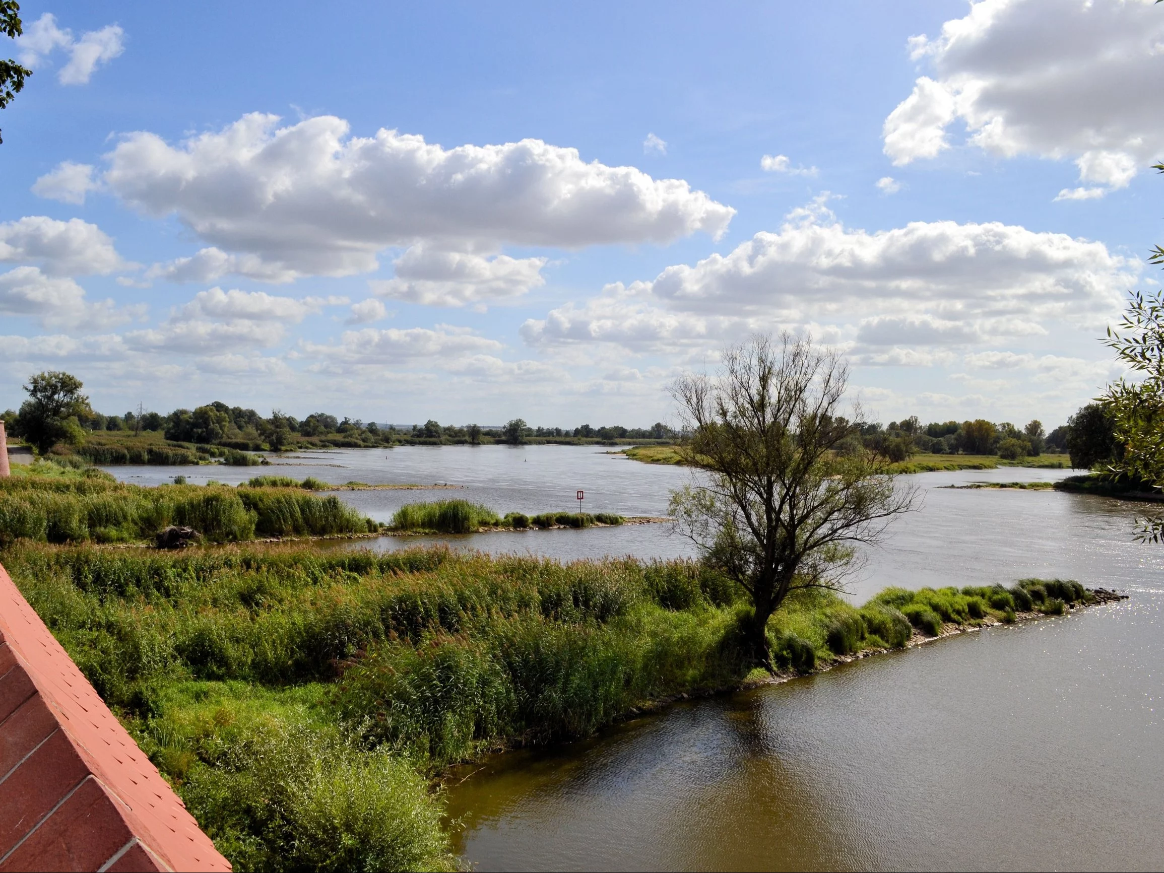 Czy wiesz, jaka rzeka przepływa przez to polskie miasto?