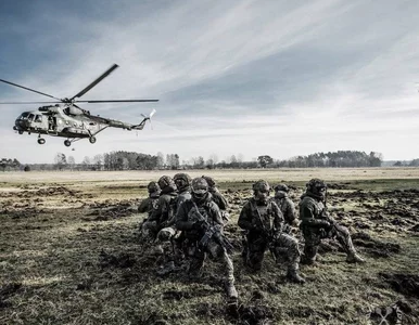 Miniatura: Ćwiczenia Dragon-24. NATO testuje swoje...