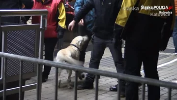 Funkcjonariusze zatrzymali 22 osoby, które miały przy sobie narkotyki 