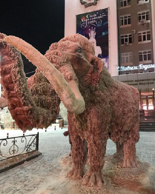 Miniatura: Mamuty w Jakucku