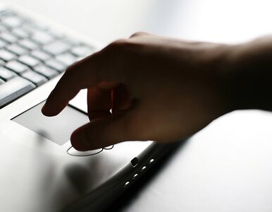 Miniatura: Dlaczego nie atakują nas hakerzy?