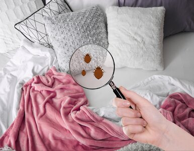 Miniatura: Już nie soda oczyszczona! Ten proszek jest...