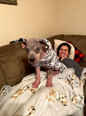 Przemiana suczki Lainey 