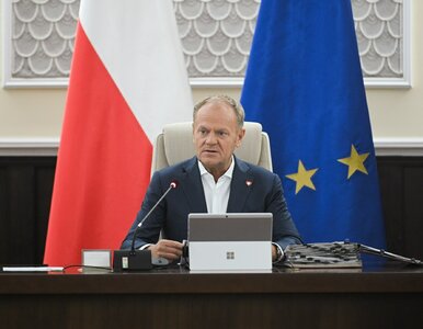 Miniatura: Tusk ogłosił ważną decyzję ws. CPK. „Może...