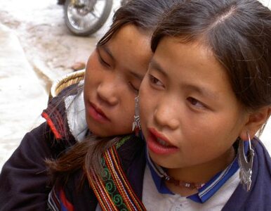Miniatura: Wietnamczycy handlowali kobietami. 29 osób...