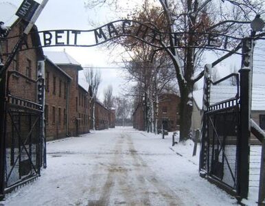 Miniatura: Kradzież tablicy z Auschwitz miała...