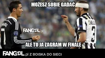 fot. fangol.pl